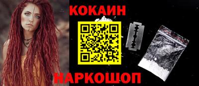 стаф Гай