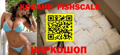 стаф Гай