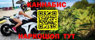 сатива Гатчина