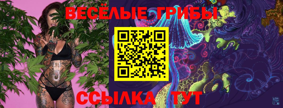 Галлюциногенные грибы Magic Shrooms  Вход с VPN  купить   Междуреченск  Псилоцибиновые грибы Psilocybine cubensis 